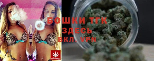 ешки Аркадак