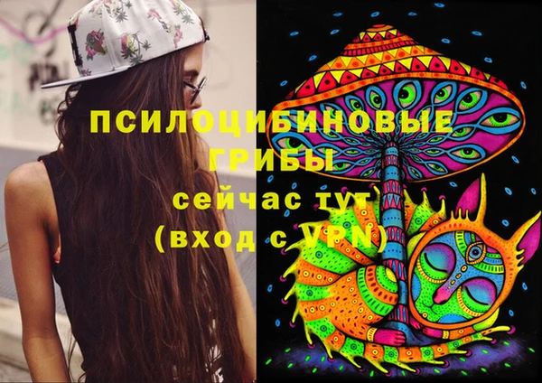 молекула духа Баксан