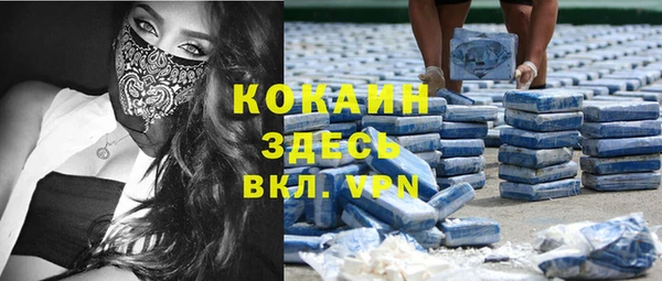 ешки Аркадак