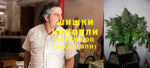 ешки Аркадак