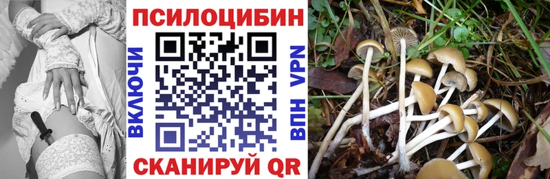 Купить  Медынь  Псилоцибиновые грибы прущие грибы 